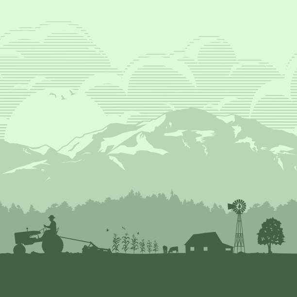 силуэт фермера, собирают урожай на закате, вектор - landscape rural scene non urban scene farm stock illustrations