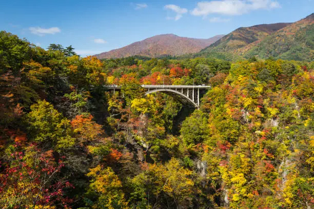 Photo of Naruko Gorge