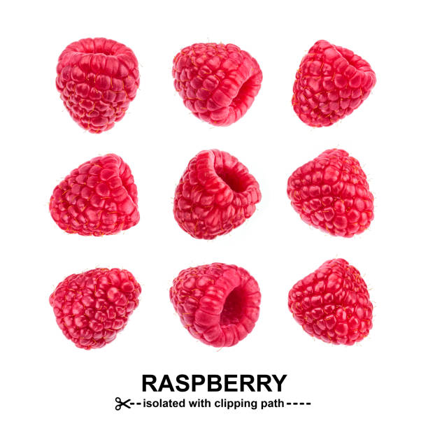 Raspberry collection. Raspberries isolated on white background with clipping path. Seamless Pattern Raspberry collection. Raspberries isolated on white background with clipping path. View from different angles. Seamless Pattern red berries stock pictures, royalty-free photos & images