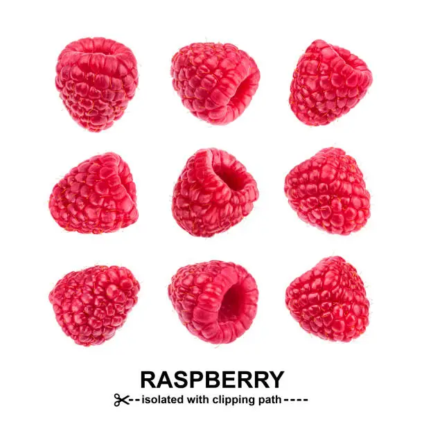 Raspberry collection. Raspberries isolated on white background with clipping path. View from different angles. Seamless Pattern
