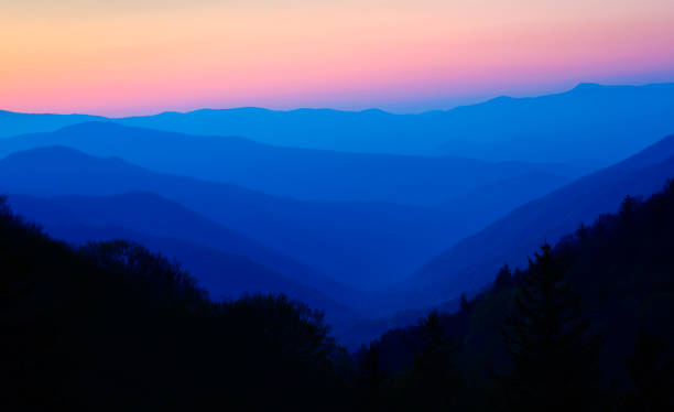 istock Misty Rolling Mountain Range Just Before Sunrise at Great Smoky Mountains National Park 984088850