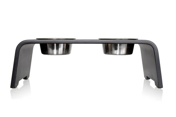 istock Two pets bowls on wooden stand 984089016