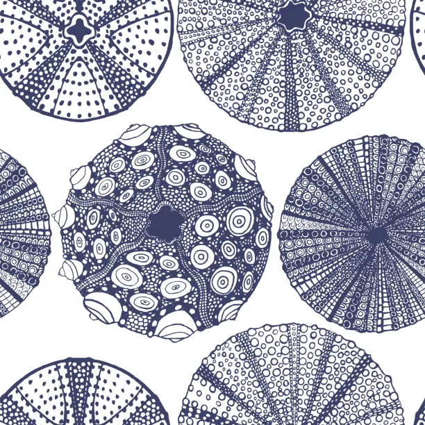 Vector illustration of Urchin Pattern in Hand-Drawn Style