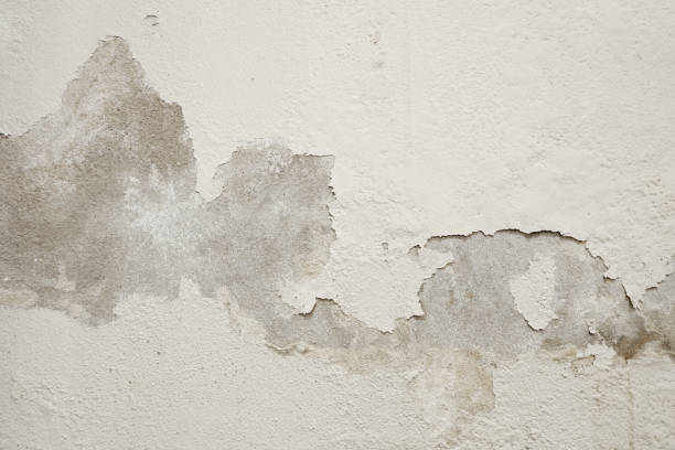 剥離ペイント白セメント壁 - peeling paint wall white ストックフォトと画像