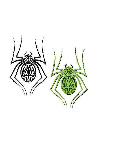 Tattoo Spider Tattoo Spider spider tribal tattoo stock illustrations