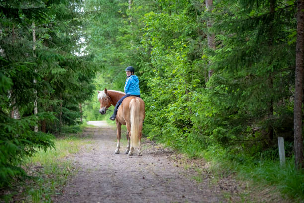 istock Woman horseback riding 984107248