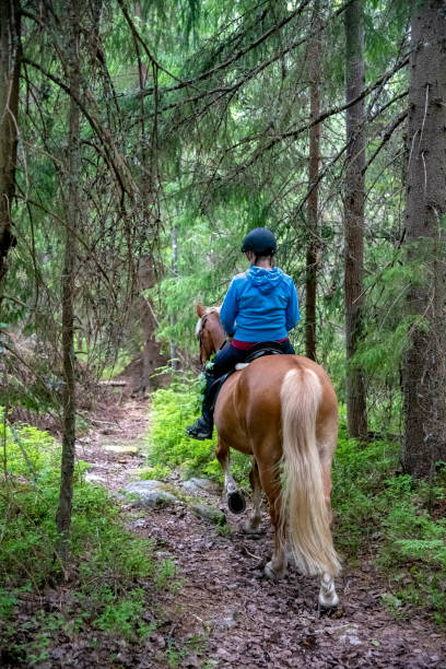istock Woman horseback riding 984107298