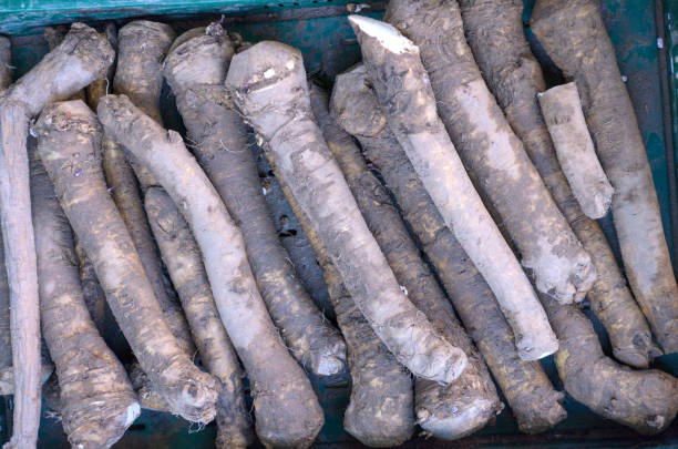 istock Salsify for selling on the market 984110630