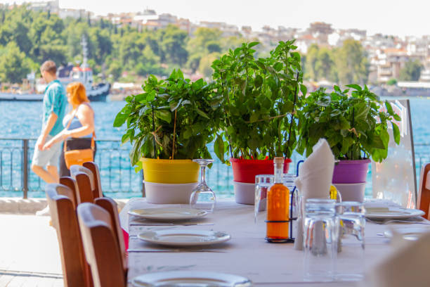 stół restauracyjniczy z roślinami bazylejskimi w kolorowych doniczkach i spacerami turystów w chalkida, grecja - chalkis zdjęcia i obrazy z banku zdjęć