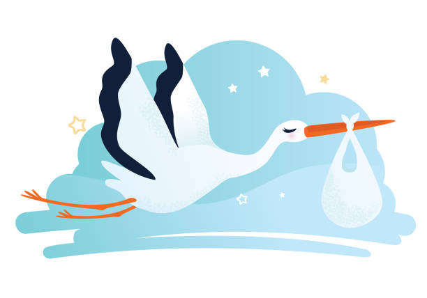 ilustrações de stock, clip art, desenhos animados e ícones de vector illustration of a stork carrying a baby in a bag - backgrounds party birthday announcement message