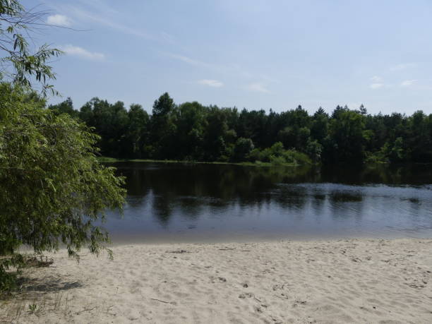 istock Landscape of the forest river 984124648