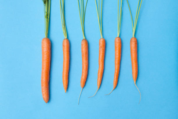 istock Carrots in a row on blue background 984125652