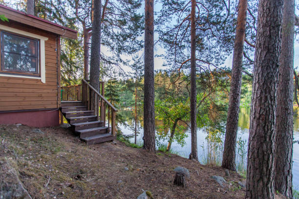 istock Wooden house in the forest 984139126