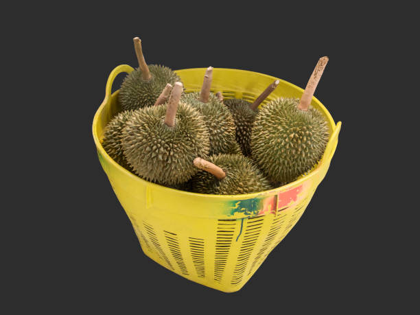 durian  in  basket