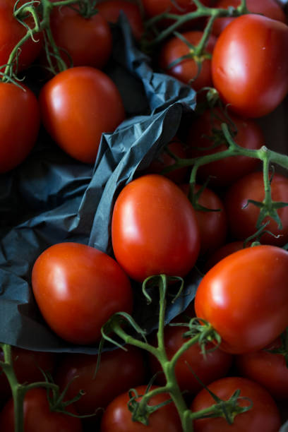 red plum tomatoes - plum tomato fotos imagens e fotografias de stock