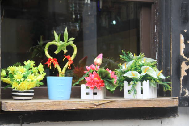 istock small potted plant in the street 984178470