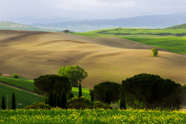 istock sunrise in Tuscany in Val di Orcia 984211902