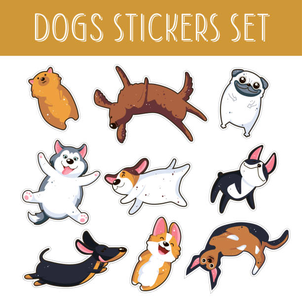 Web Dogs emoji stickers,patches collection.Vector set illustration. Pomeranian Spitz, English setter, Mops, Pug, Husky, Jack Russell Terrier, Boston Terrier, Dachshund, German badger-dog, Corgi, Doberman drawing of doberman dog stock illustrations