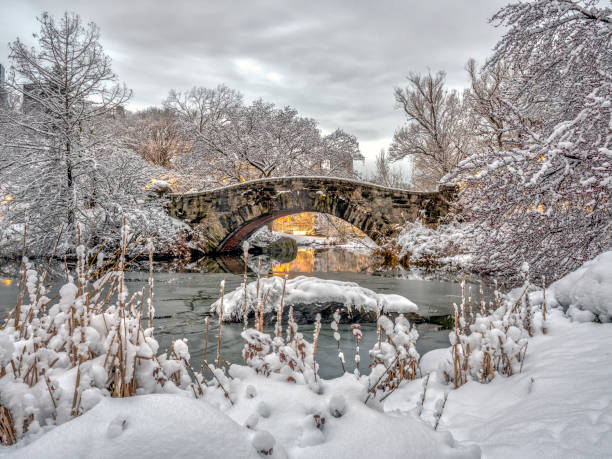 istock Gapstow bridge Central Park, New York City 984228954
