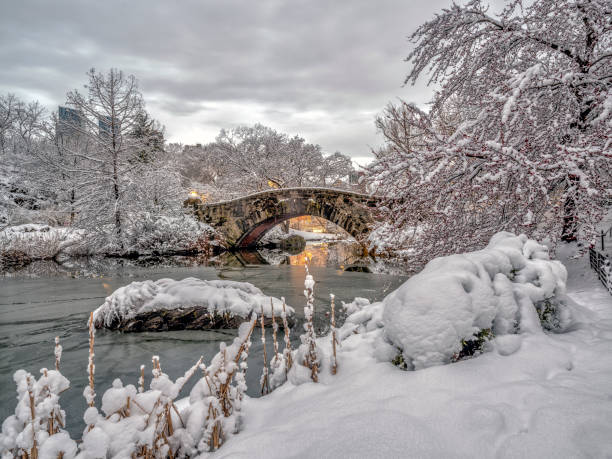 istock Gapstow bridge Central Park, New York City 984229048