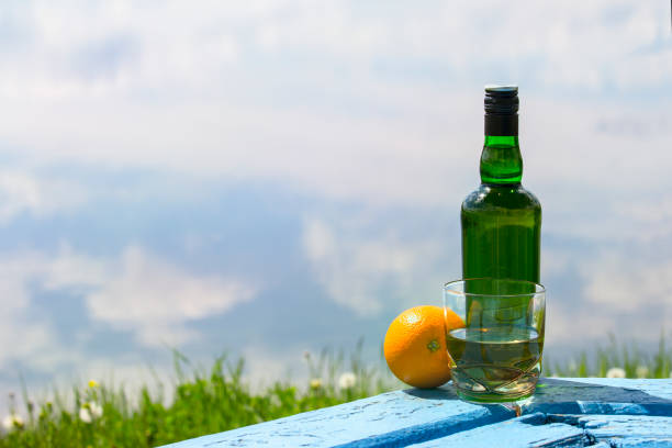 bottiglia di whisky e vetro con arancia sulla riva del lago - gin decanter whisky bottle foto e immagini stock