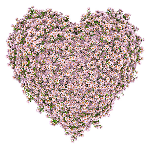 istock heart of light pink flowers 98423286