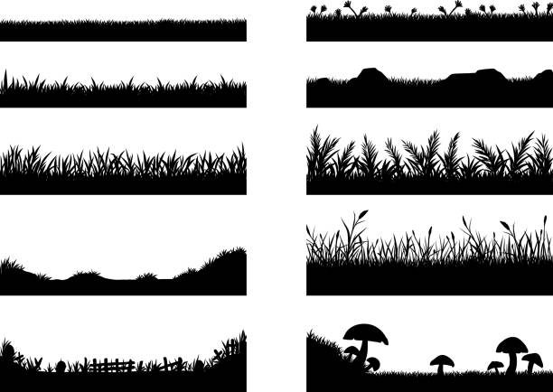 흰색 바탕에 잔디 벡터의 설정 - meadow lawn grass landscape stock illustrations