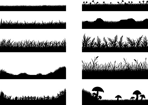 Set of grass vector on white background.Grass vector by hand drawing.