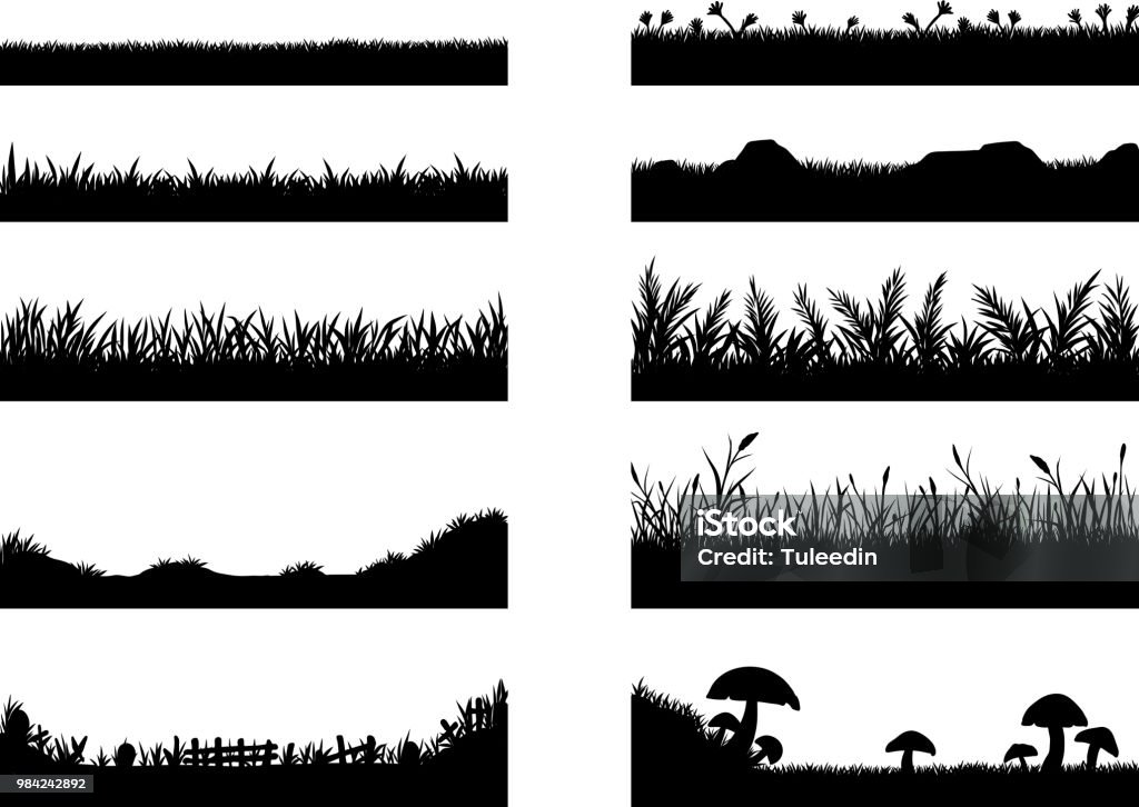 Set of grass vector on white background Set of grass vector on white background.Grass vector by hand drawing. Grass stock vector