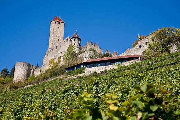 castle of Hornberg stock photo