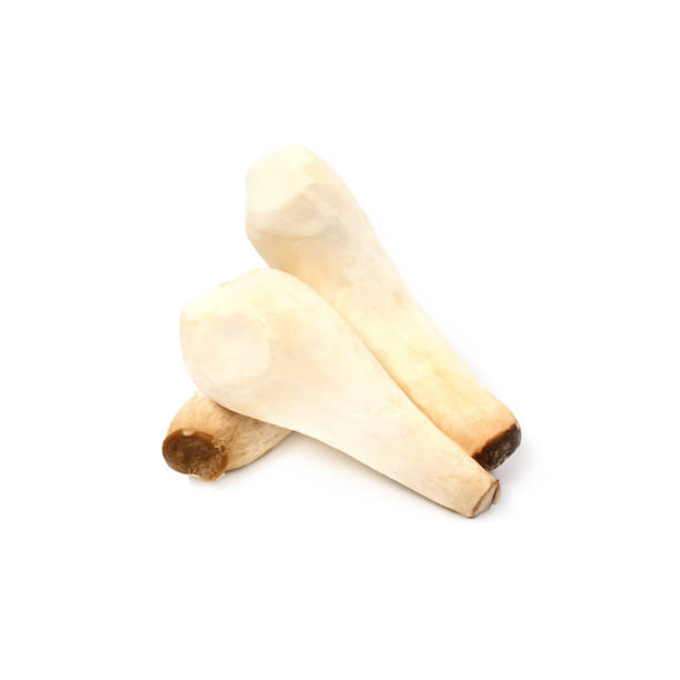 istock King Oyster mushroom (Eringi) on white background. 984245406