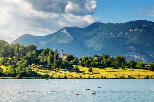French landscape with small church steeple along Rhone river and Grand Colombier Bugey Alps mountains in summer in Auvergne-Rhone-Alpes