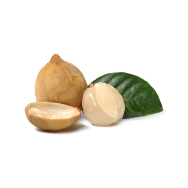 istock Longkong, Langsat or Lanzones fruit is endemic to Southeast Asia. 984246240