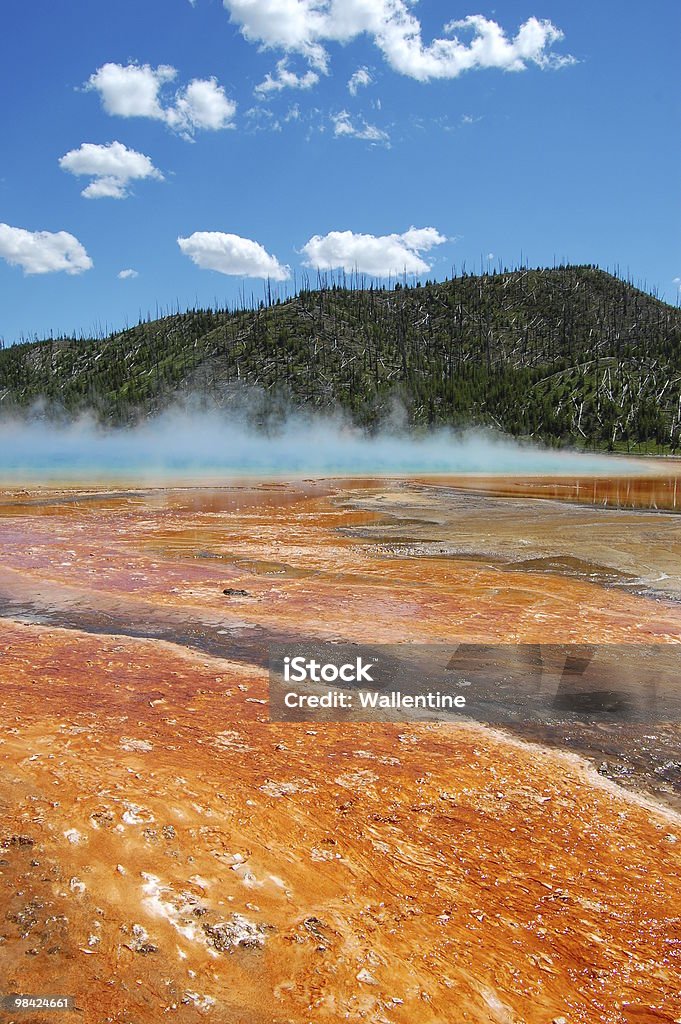 The Grand Prismatic Spring at Yellowstone National Park  Algae Stock Photo