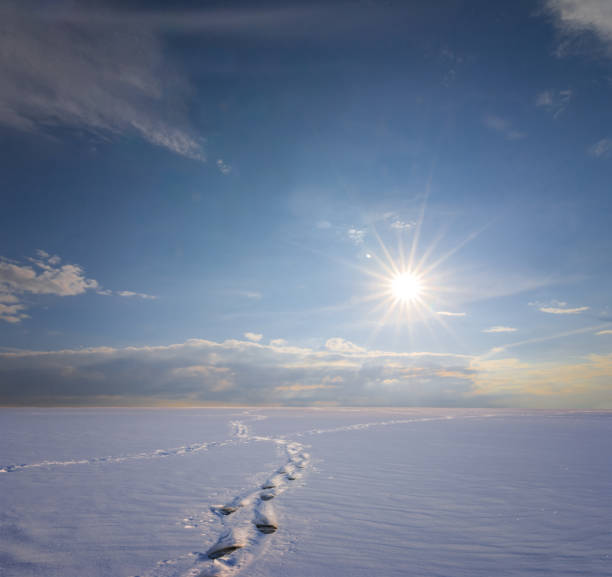istock quiet winter plain in a snow at the sunset 984250992
