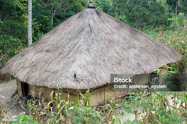 Traditionelles Haus In Timorleste Stockfoto und mehr Bilder von Asien - Asien, Berg, Dach