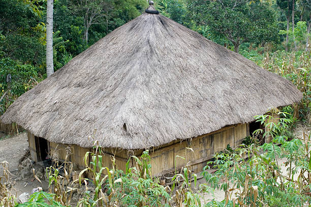 istock Traditional house in Timor Leste 98425241
