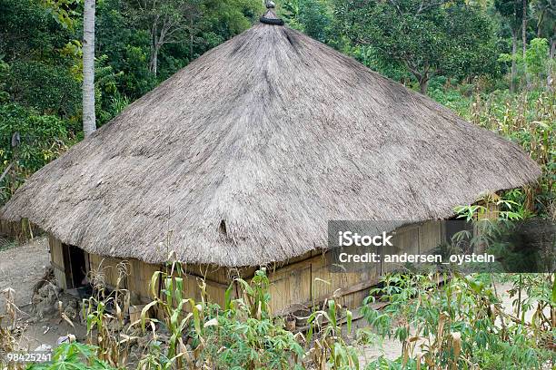 Традиционный Дом В Тиморелешти — стоковые фотографии и другие картинки Азия - Азия, Без людей, Восточный Тимор