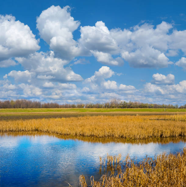 istock small blue lake among a prairies under a cloudy sky, summer scene 984253416