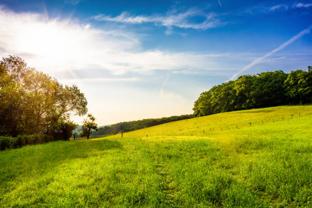 istock Landscape with green meadows at sunrise 984255188