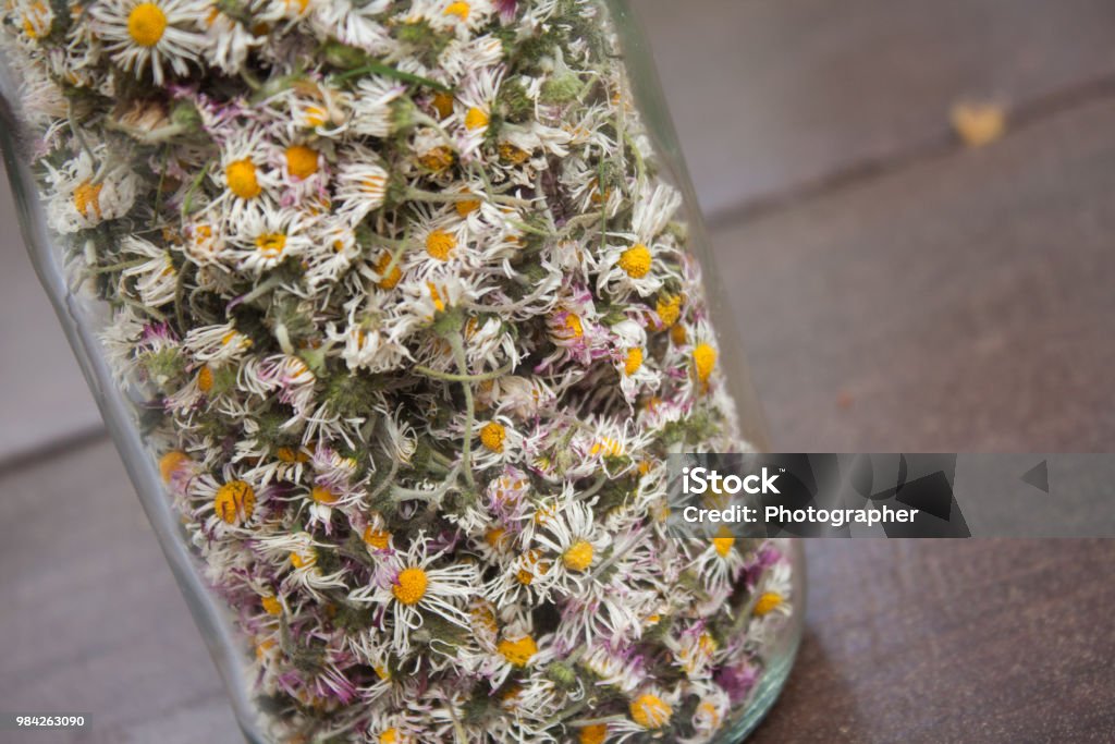 Dry Daisy Flowers In A Glass Jar Stock Photo - Download Image Now