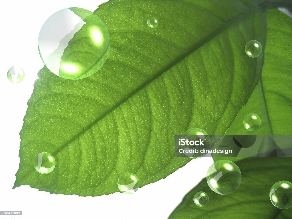 Grüne Blätter mit Luftblasen - Lizenzfrei Abstrakt Stock-Foto
