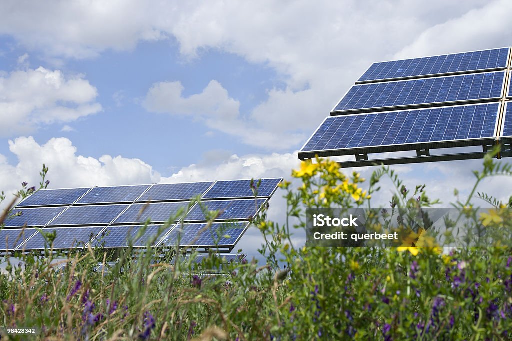 Solarkollektoren - Lizenzfrei Blume Stock-Foto