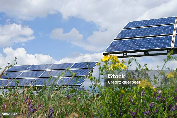 Solarkollektoren Stockfoto und mehr Bilder von Blume - Blume, Sonnenkollektor, Wiese