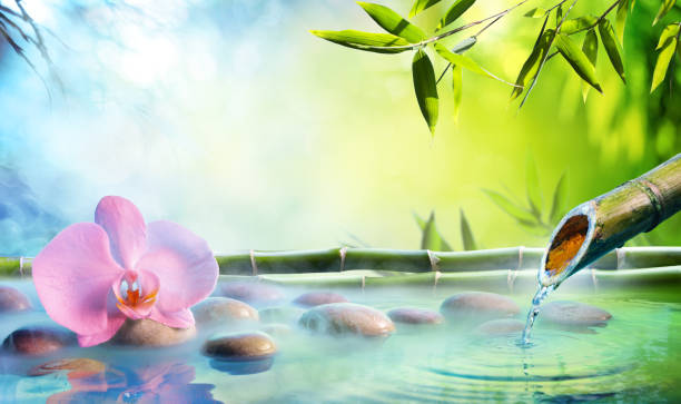 дзен сад - орхидея в японском фонтане со скалами и бамбуком - spa treatment health spa zen like bamboo стоковые фото и изображения