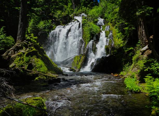 istock National Creek Falls Jungle 984285724