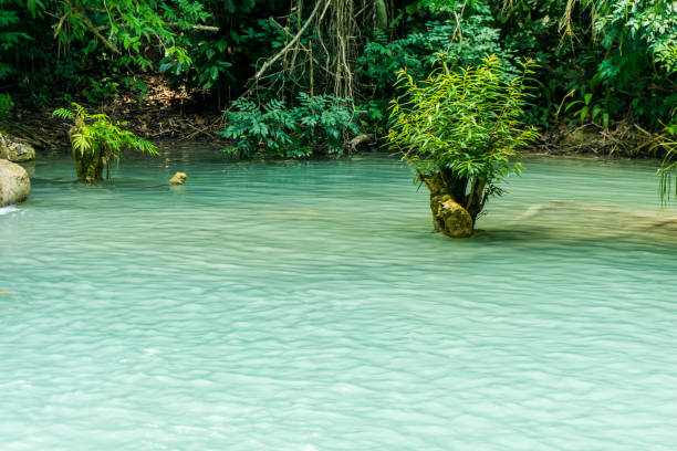 Tad Kwang Si (Xi) the biggest water fall land mark in Luang Prabang, Laos ,beautiful turquoise color water at tropical forest in north Lao. Suitable for use as a background or travel advertisement image, feeling relax with natural