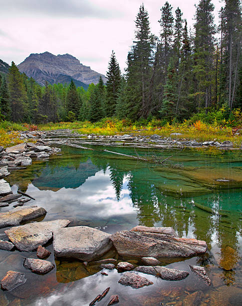 istock Superficial northern lake. 98429305
