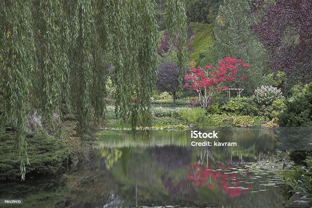 Bunt blühenden Baum. - Lizenzfrei Baum Stock-Foto