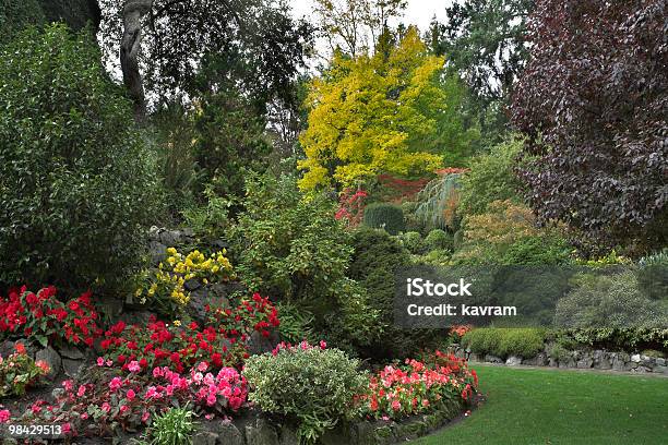 Letto Di Fiori E Alberi In Fiore - Fotografie stock e altre immagini di Aiuola - Aiuola, Albero, Albero deciduo